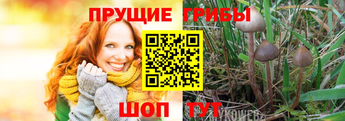 Марихуана Торжок