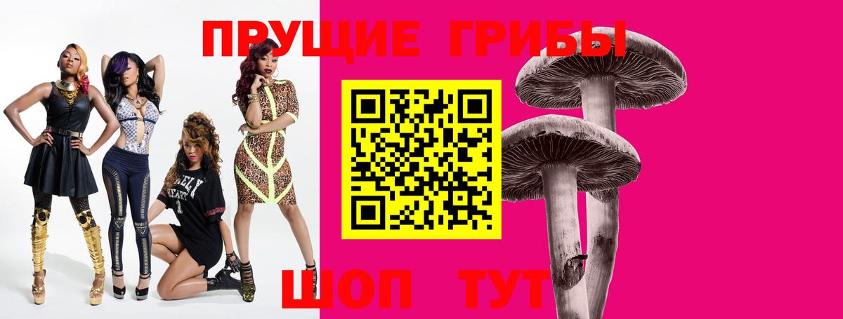 Галлюциногенные грибы Psilocybine cubensis  Вход с VPN  Торжок 